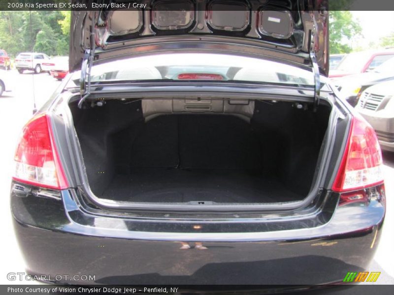 Ebony Black / Gray 2009 Kia Spectra EX Sedan