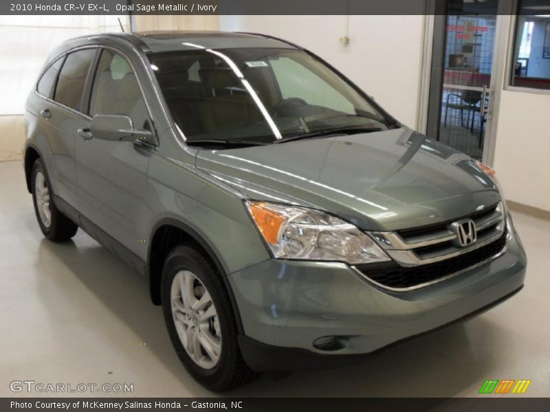 Opal Sage Metallic / Ivory 2010 Honda CR-V EX-L