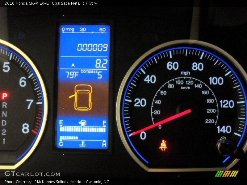 Opal Sage Metallic / Ivory 2010 Honda CR-V EX-L