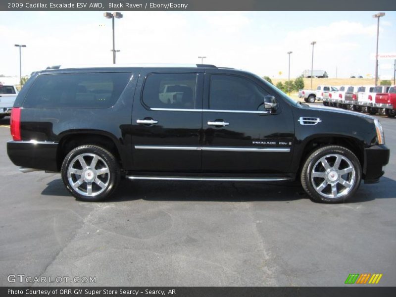 Black Raven / Ebony/Ebony 2009 Cadillac Escalade ESV AWD