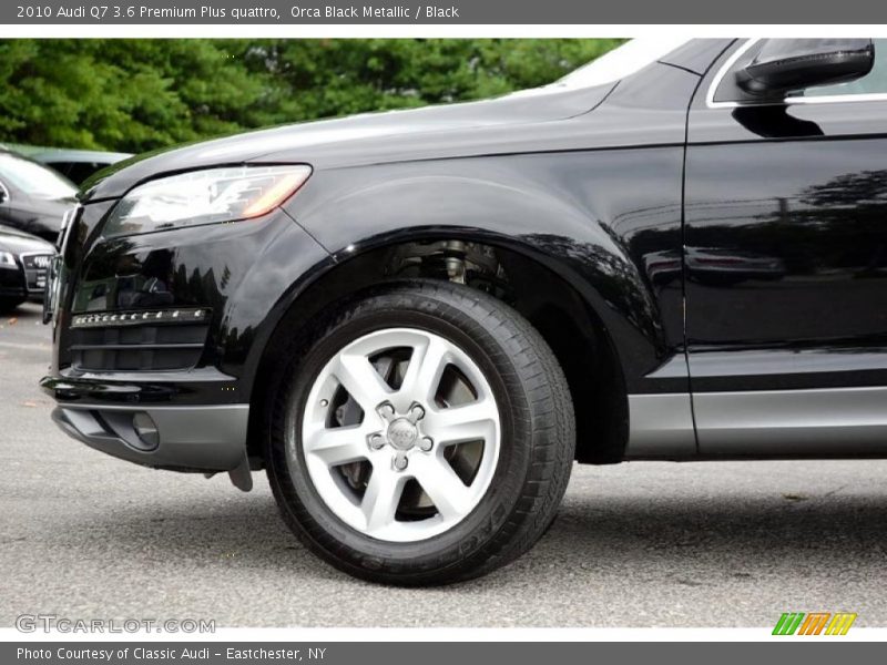 Orca Black Metallic / Black 2010 Audi Q7 3.6 Premium Plus quattro