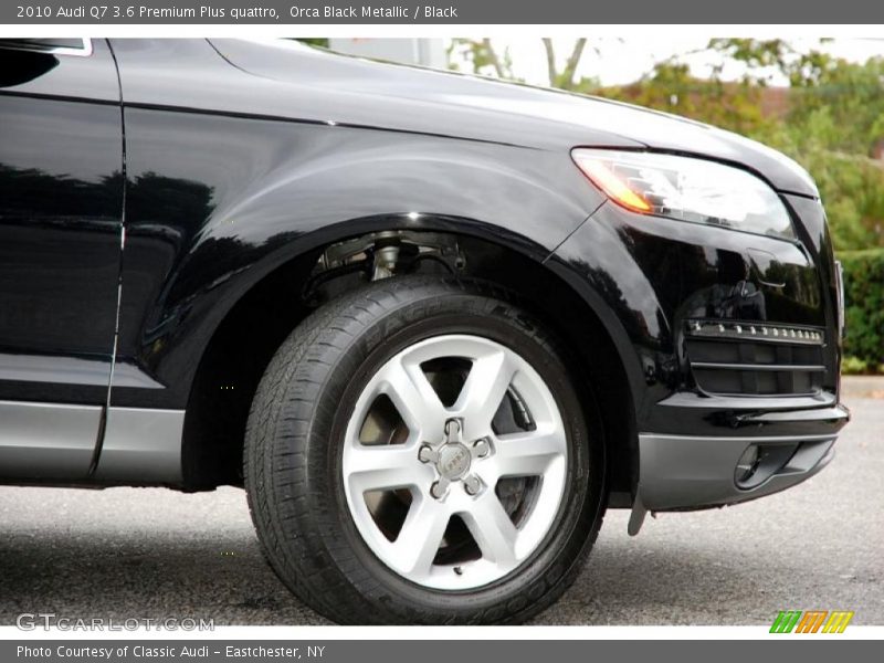 Orca Black Metallic / Black 2010 Audi Q7 3.6 Premium Plus quattro