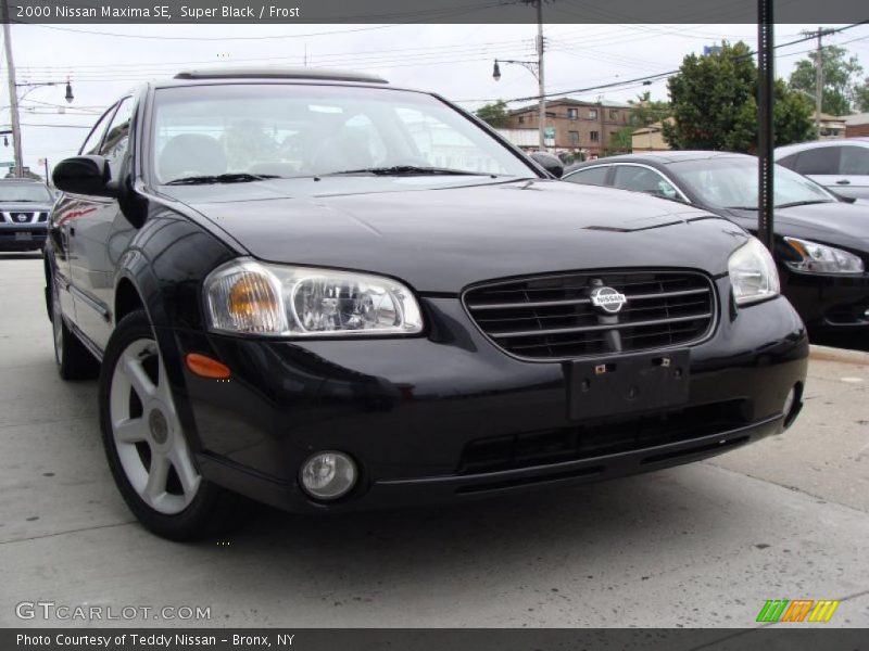 Super Black / Frost 2000 Nissan Maxima SE