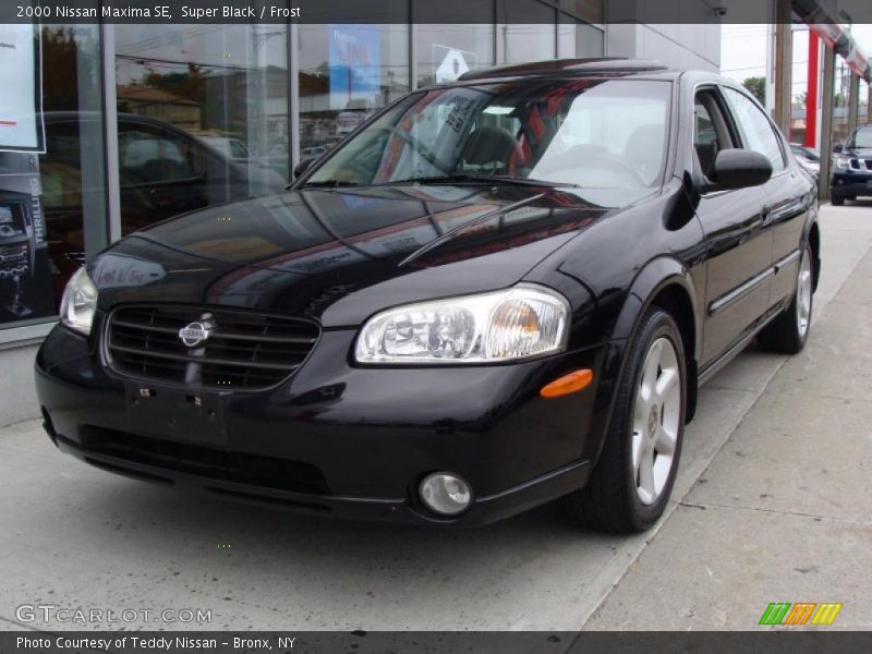 Super Black / Frost 2000 Nissan Maxima SE