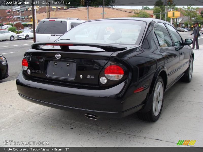 Super Black / Frost 2000 Nissan Maxima SE