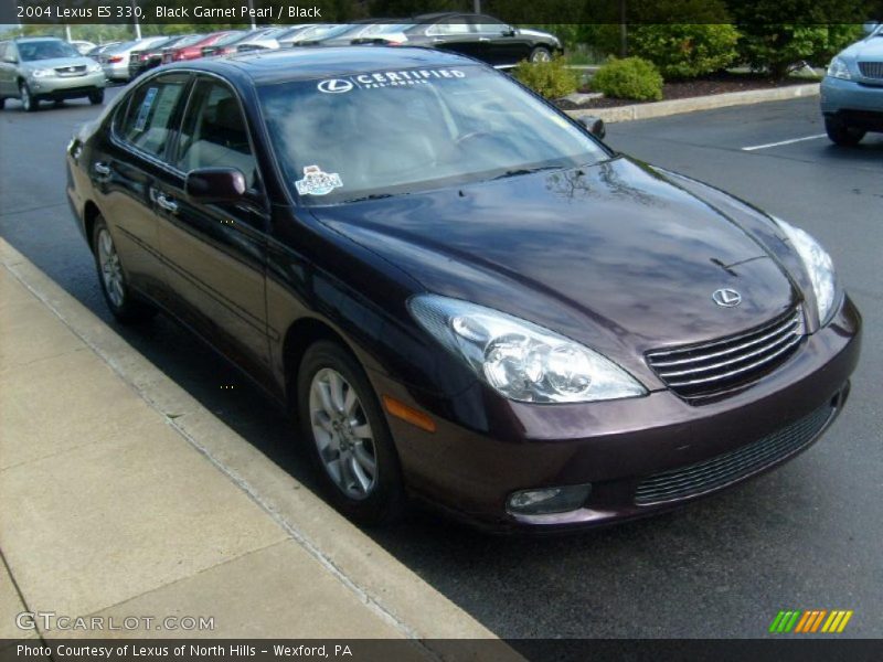 Black Garnet Pearl / Black 2004 Lexus ES 330