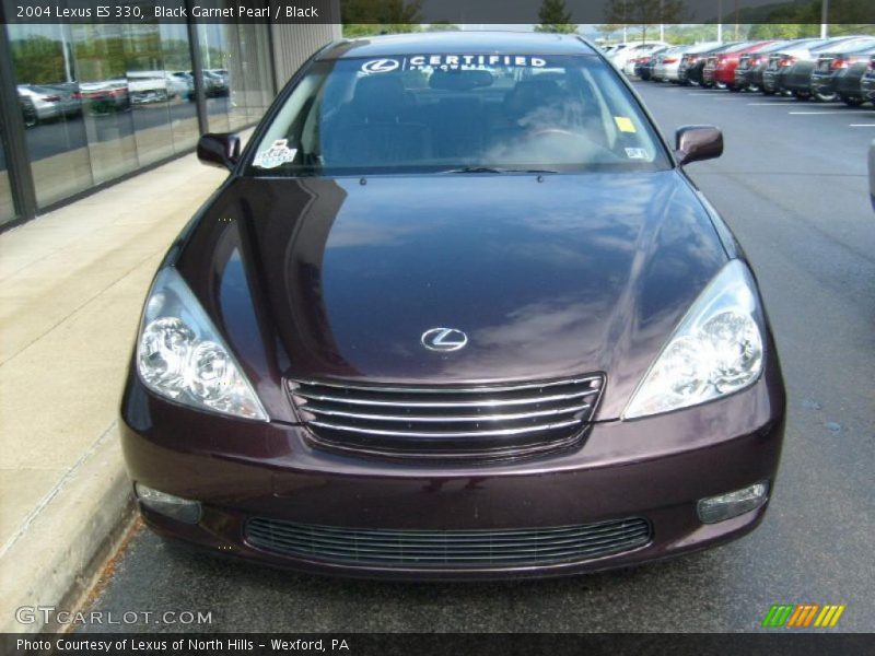 Black Garnet Pearl / Black 2004 Lexus ES 330