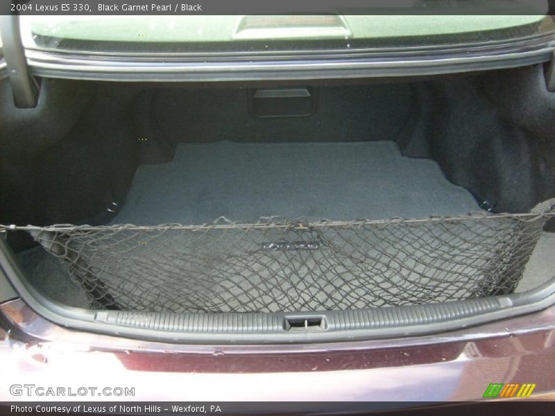Black Garnet Pearl / Black 2004 Lexus ES 330