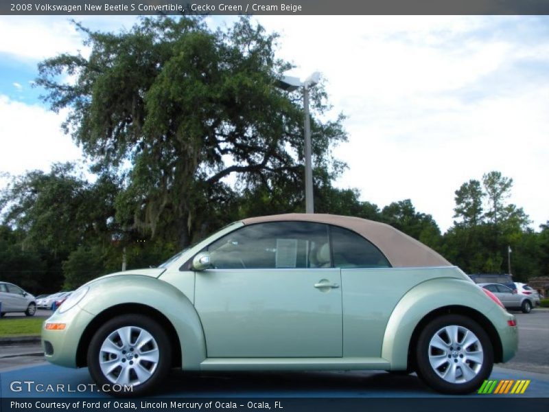 Gecko Green / Cream Beige 2008 Volkswagen New Beetle S Convertible