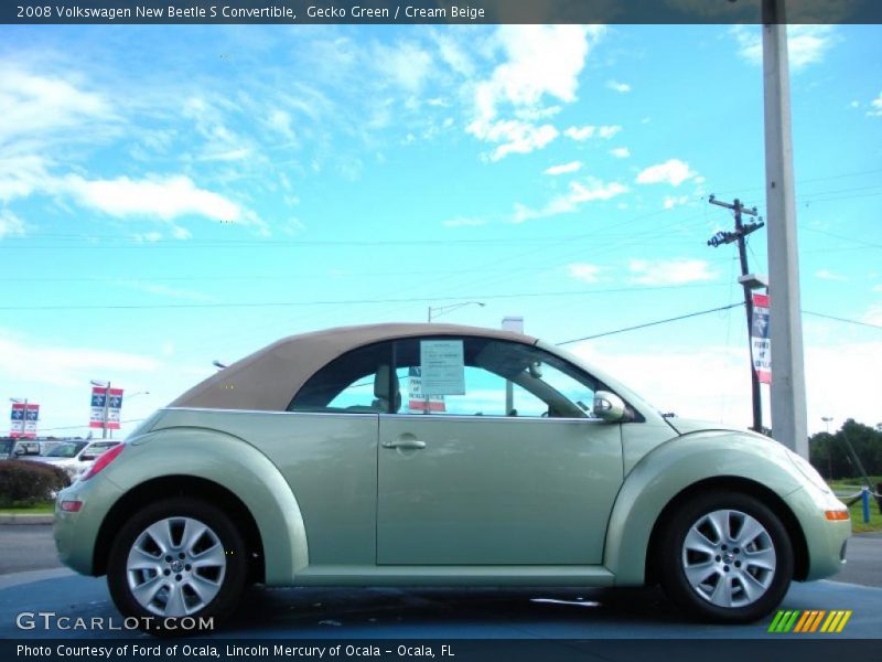 Gecko Green / Cream Beige 2008 Volkswagen New Beetle S Convertible