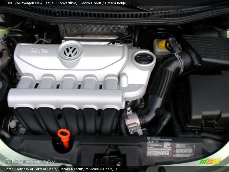 Gecko Green / Cream Beige 2008 Volkswagen New Beetle S Convertible