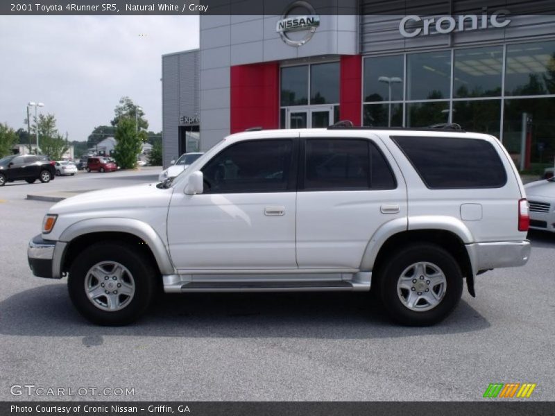 Natural White / Gray 2001 Toyota 4Runner SR5