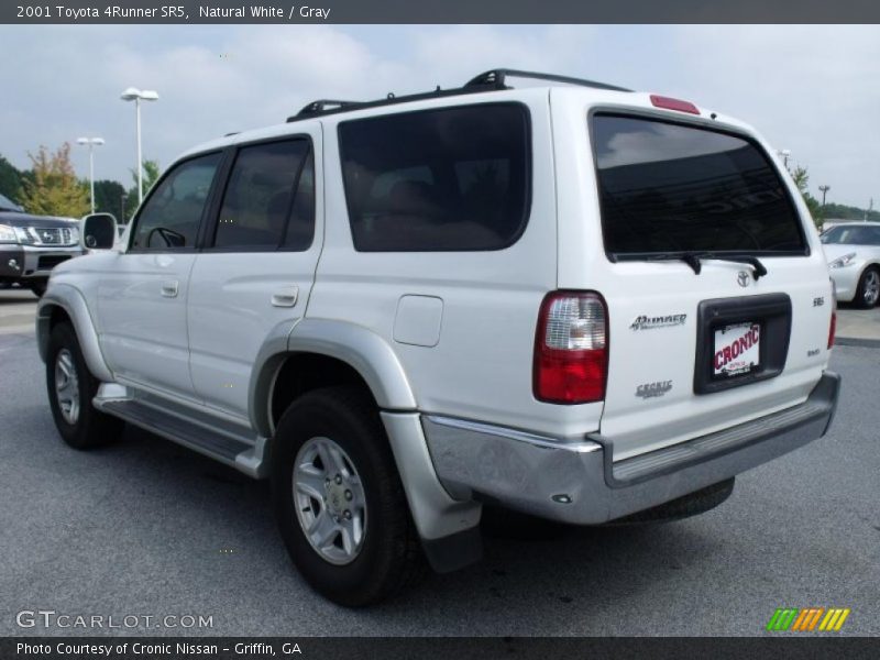 Natural White / Gray 2001 Toyota 4Runner SR5