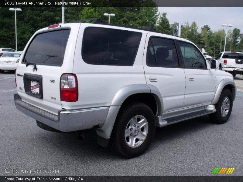 Natural White / Gray 2001 Toyota 4Runner SR5