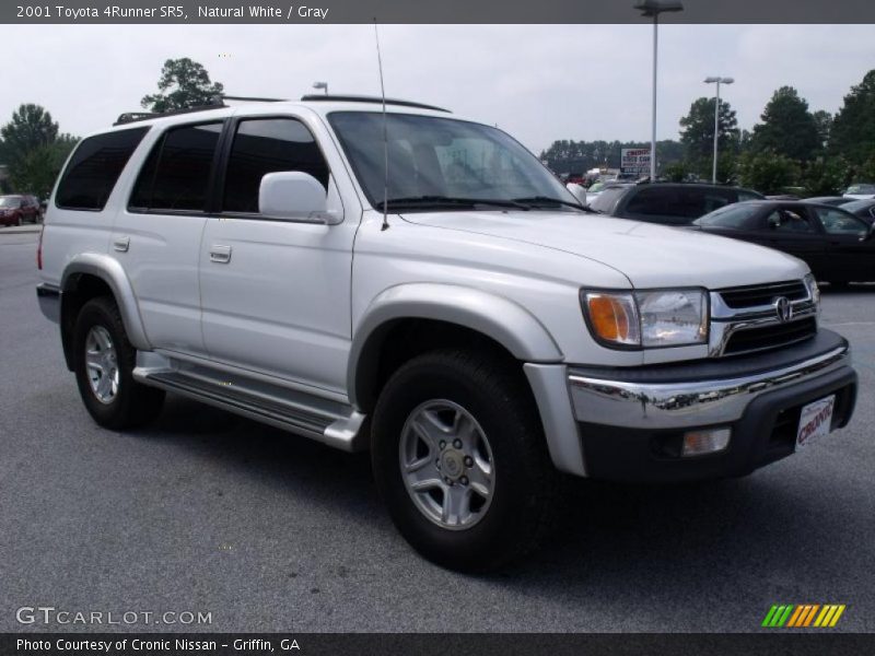Natural White / Gray 2001 Toyota 4Runner SR5