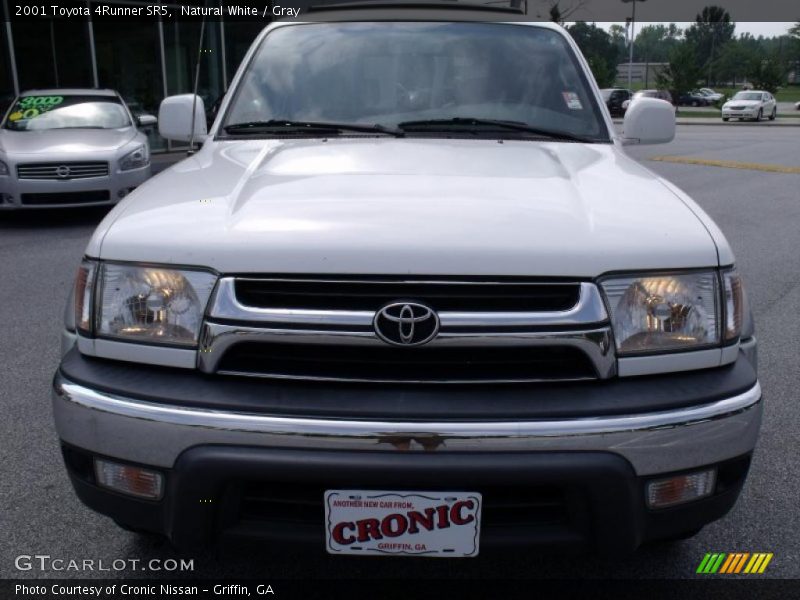 Natural White / Gray 2001 Toyota 4Runner SR5