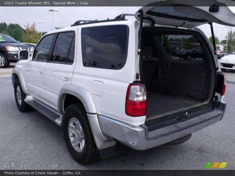 Natural White / Gray 2001 Toyota 4Runner SR5