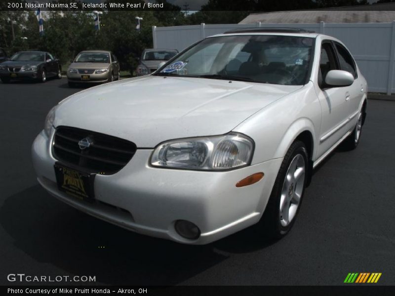 Icelandic White Pearl / Blond 2001 Nissan Maxima SE
