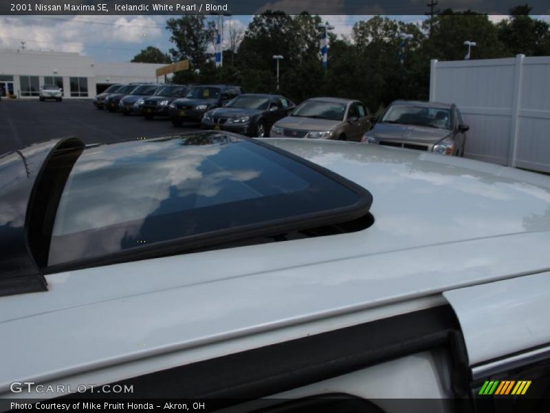 Icelandic White Pearl / Blond 2001 Nissan Maxima SE