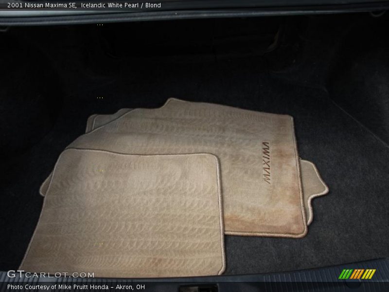 Icelandic White Pearl / Blond 2001 Nissan Maxima SE