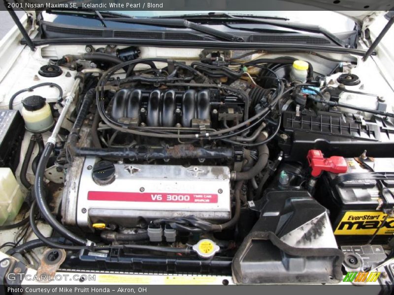 Icelandic White Pearl / Blond 2001 Nissan Maxima SE