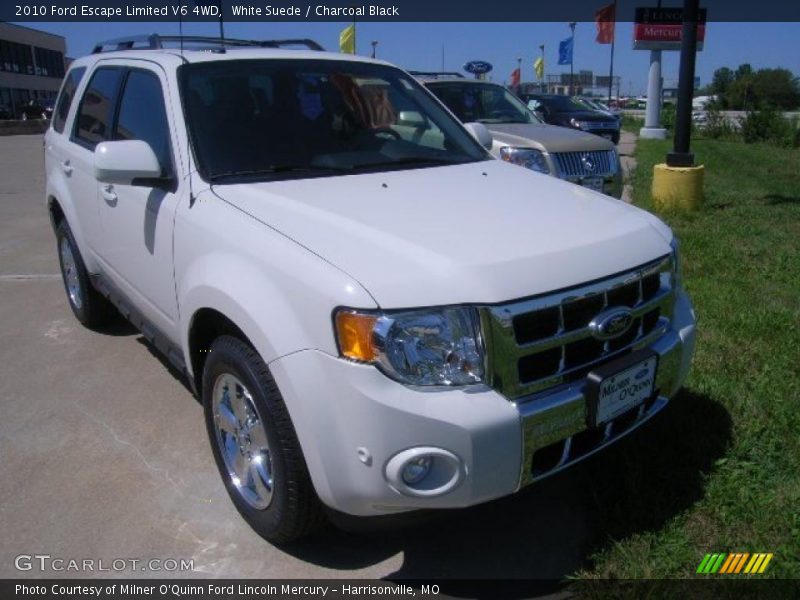 White Suede / Charcoal Black 2010 Ford Escape Limited V6 4WD