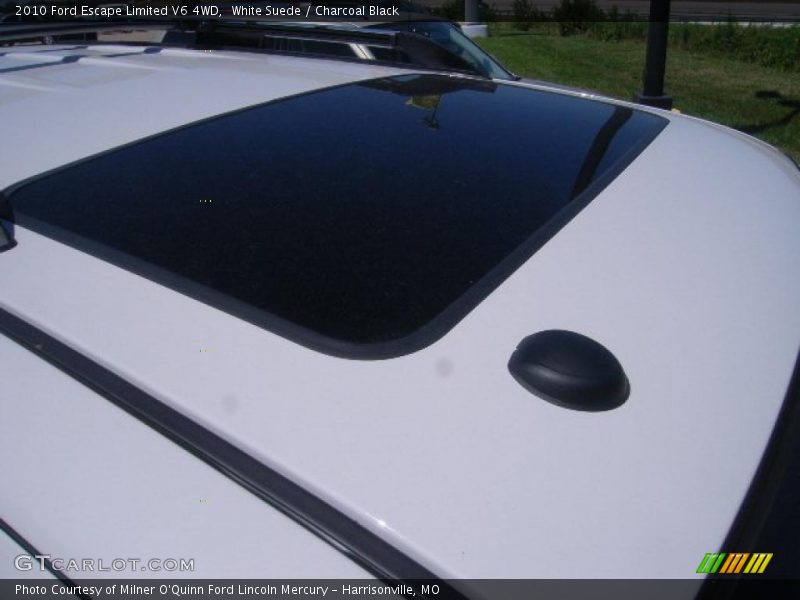 White Suede / Charcoal Black 2010 Ford Escape Limited V6 4WD