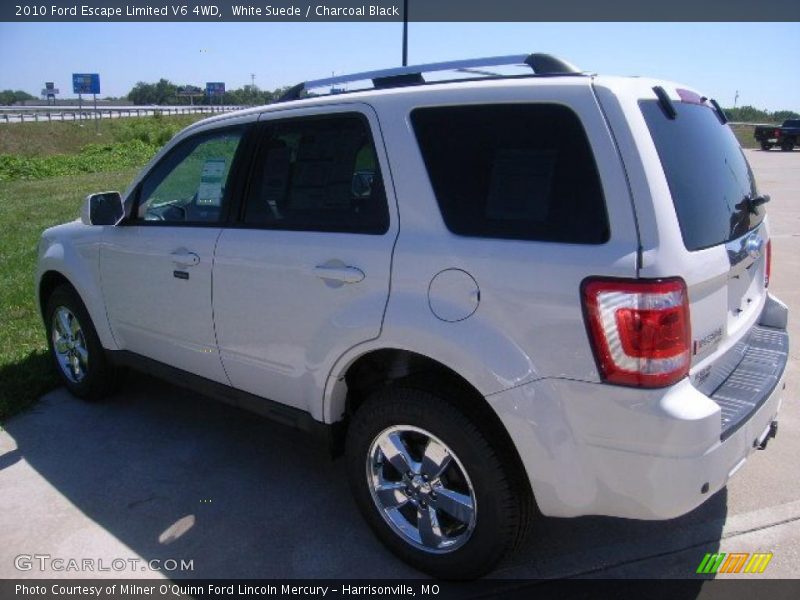 White Suede / Charcoal Black 2010 Ford Escape Limited V6 4WD