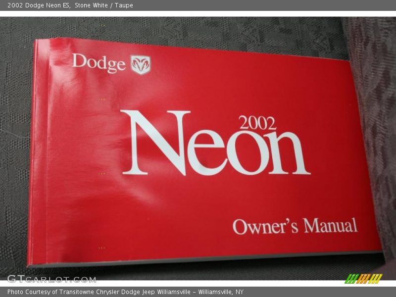 Stone White / Taupe 2002 Dodge Neon ES