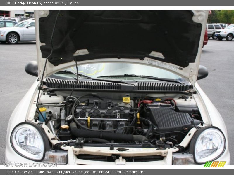 Stone White / Taupe 2002 Dodge Neon ES