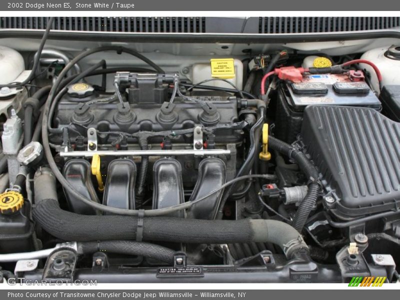 Stone White / Taupe 2002 Dodge Neon ES