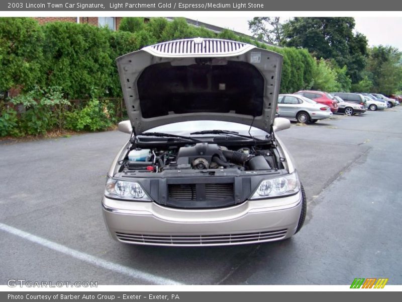 Light Parchment Gold / Espresso/Medium Light Stone 2003 Lincoln Town Car Signature