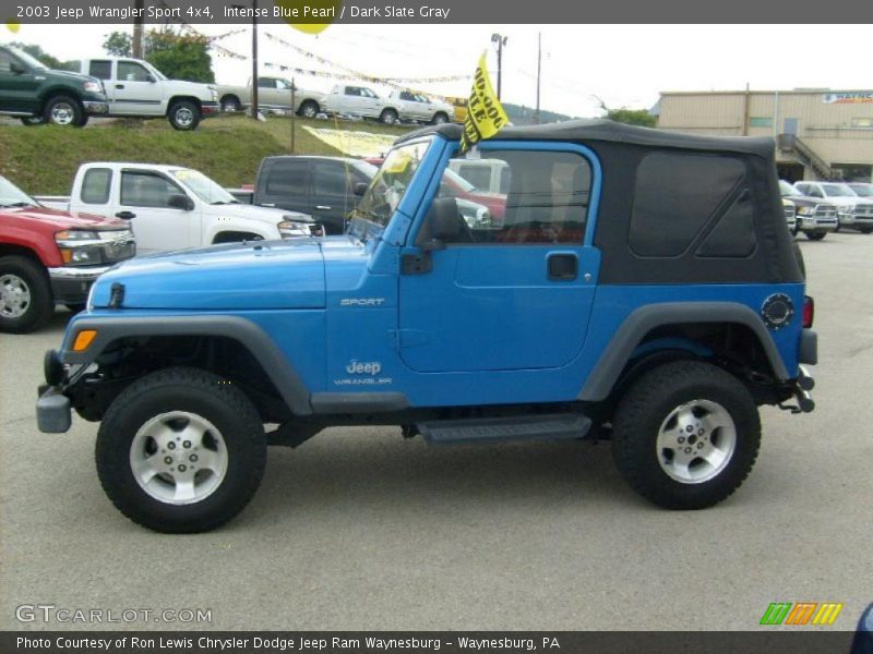 Intense Blue Pearl / Dark Slate Gray 2003 Jeep Wrangler Sport 4x4