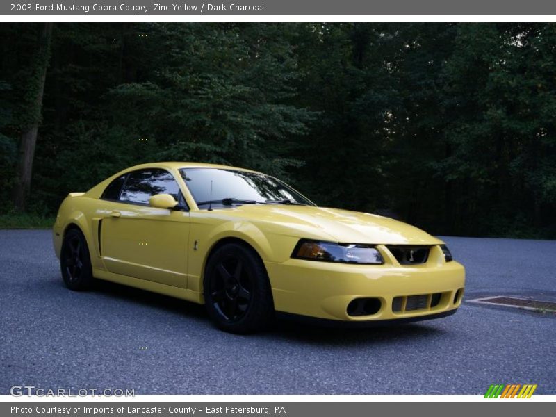 Zinc Yellow / Dark Charcoal 2003 Ford Mustang Cobra Coupe