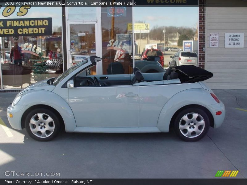 Campanella White / Black 2003 Volkswagen New Beetle GLS Convertible