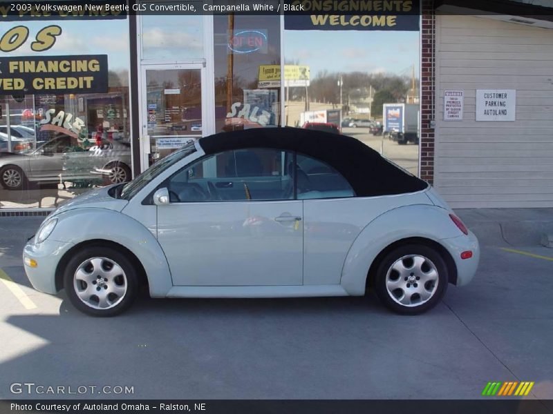 Campanella White / Black 2003 Volkswagen New Beetle GLS Convertible