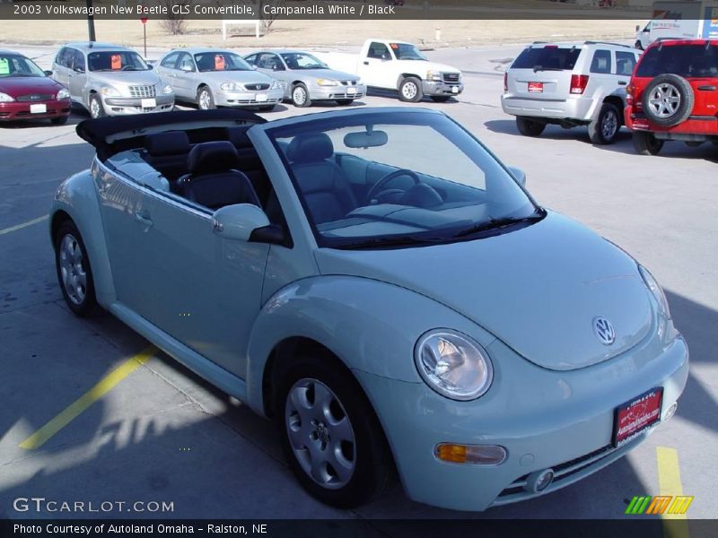 Campanella White / Black 2003 Volkswagen New Beetle GLS Convertible