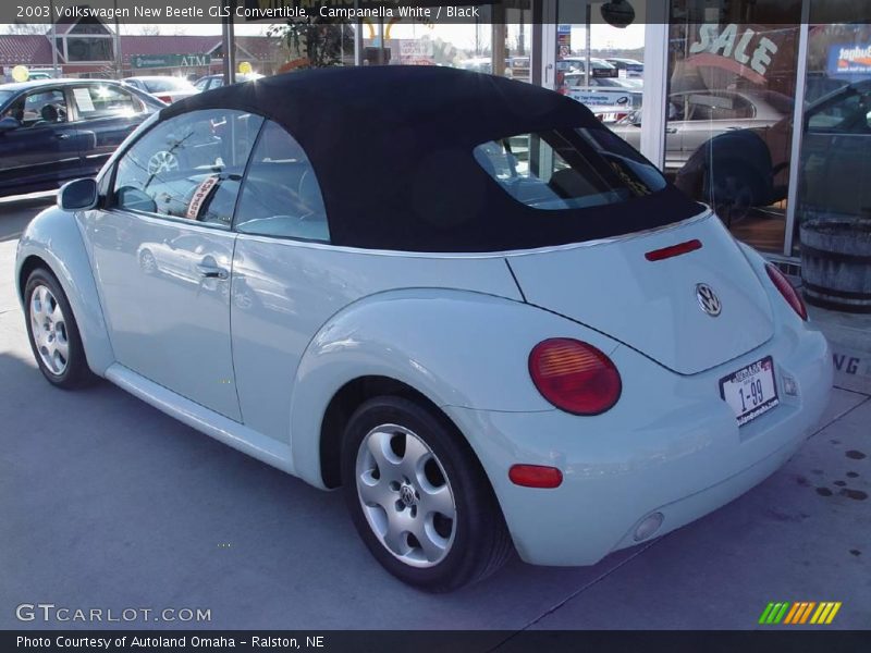 Campanella White / Black 2003 Volkswagen New Beetle GLS Convertible