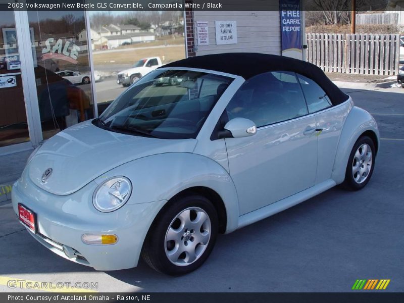 Campanella White / Black 2003 Volkswagen New Beetle GLS Convertible