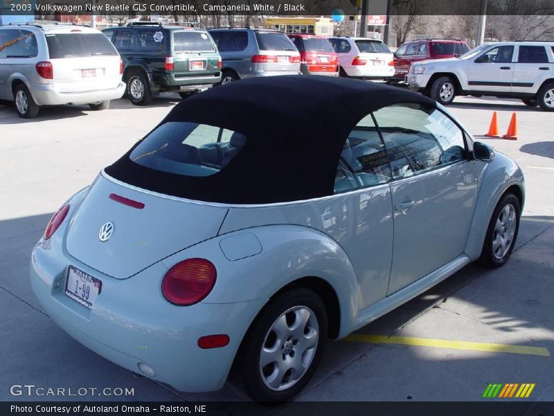 Campanella White / Black 2003 Volkswagen New Beetle GLS Convertible