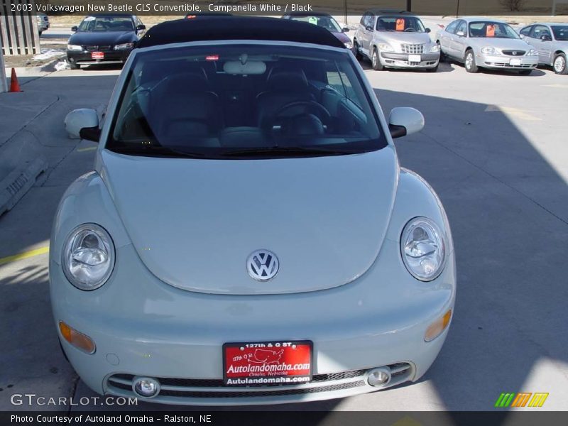 Campanella White / Black 2003 Volkswagen New Beetle GLS Convertible