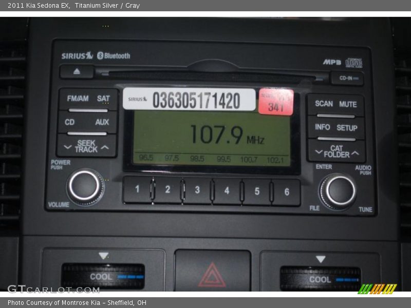 Titanium Silver / Gray 2011 Kia Sedona EX