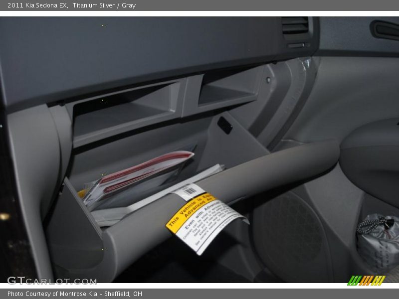 Titanium Silver / Gray 2011 Kia Sedona EX