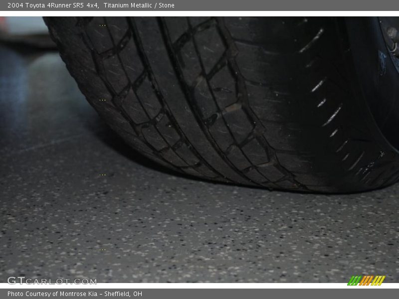 Titanium Metallic / Stone 2004 Toyota 4Runner SR5 4x4