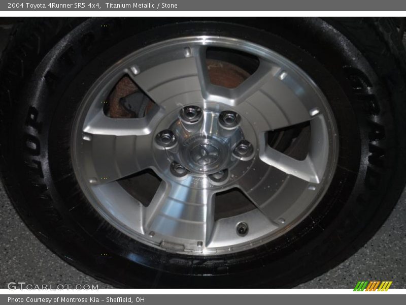 Titanium Metallic / Stone 2004 Toyota 4Runner SR5 4x4