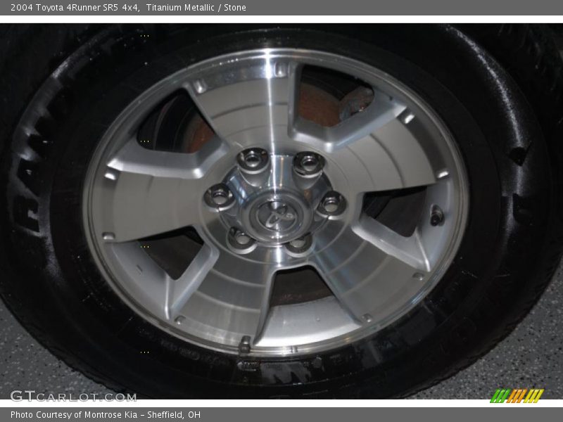Titanium Metallic / Stone 2004 Toyota 4Runner SR5 4x4