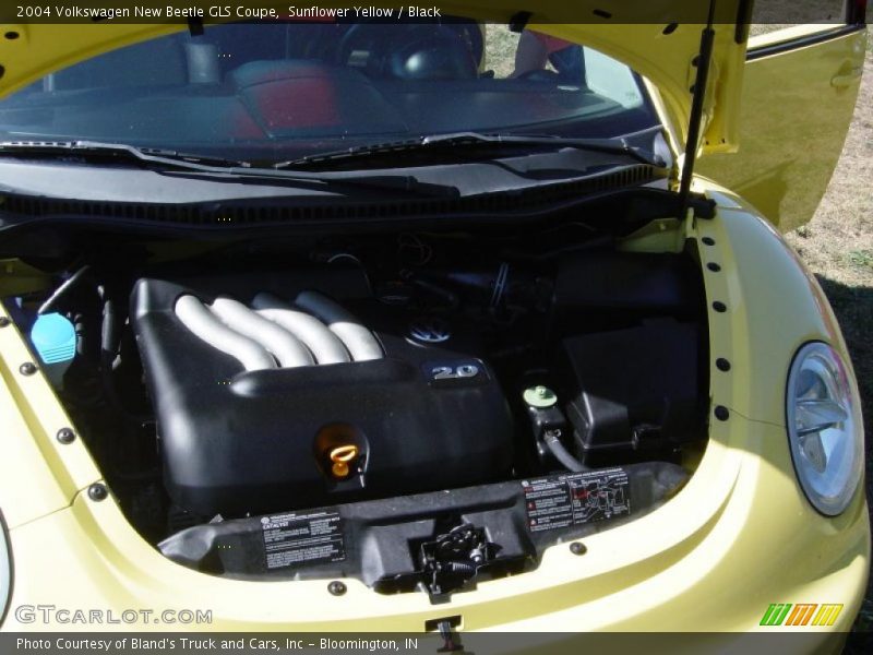 Sunflower Yellow / Black 2004 Volkswagen New Beetle GLS Coupe