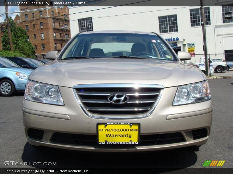 Camel Pearl / Camel 2010 Hyundai Sonata GLS