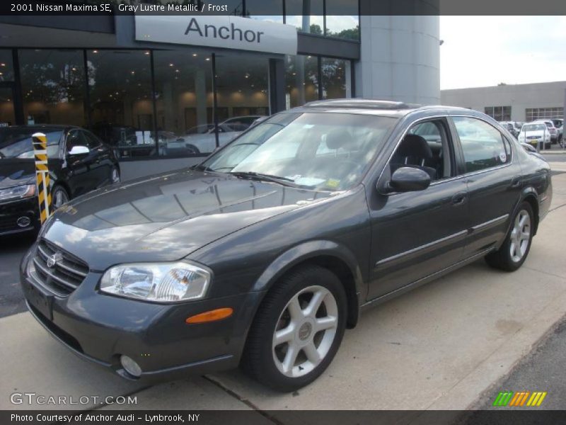 Gray Lustre Metallic / Frost 2001 Nissan Maxima SE