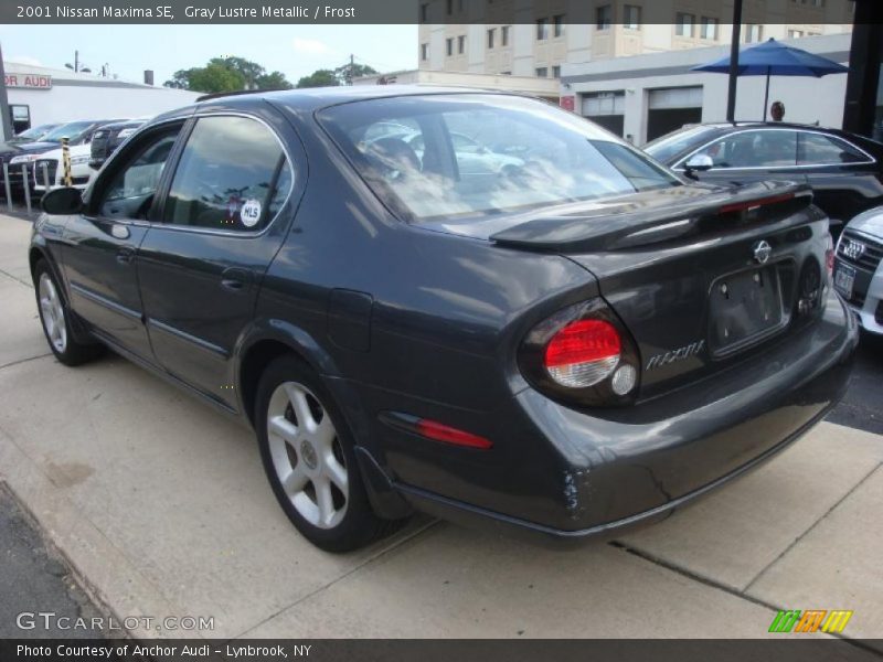 Gray Lustre Metallic / Frost 2001 Nissan Maxima SE